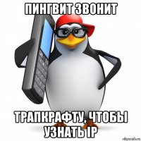 пингвит звонит трапкрафту, чтобы узнать ip