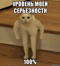 уровень моей серьёзности 100%