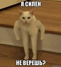 я силён не верешь?