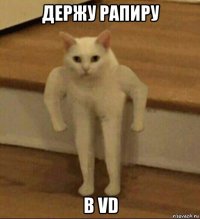 держу рапиру в vd