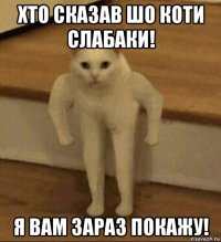 хто сказав шо коти слабаки! я вам зараз покажу!