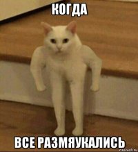 когда все размяукались