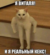 я виталя! и я реальный кекс!