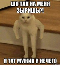 шо так на меня зыришь?! я тут мужик и нечего