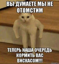 вы думаете мы не отомстим теперь наша очередь кормить вас вискасом!!!