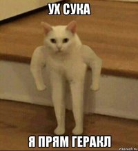 ух сука я прям геракл