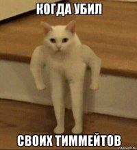 когда убил своих тиммейтов