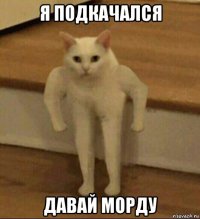 я подкачался давай морду