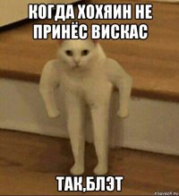 когда хохяин не принёс вискас так,блэт