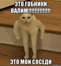 это гобники валим!!!!!!!!!!!!!! это мои соседи