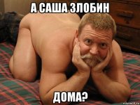 а саша злобин дома?