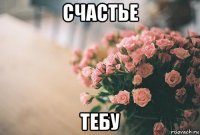 счастье тебу