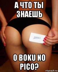 а что ты знаешь о boku no pico?