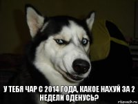 У тебя чар с 2014 года, какое нахуй за 2 недели оденусь?