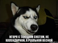 игоря с тающим снегом, не календарной, а реальной весной