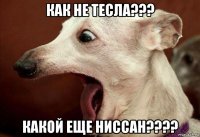 как не тесла??? какой еще ниссан????