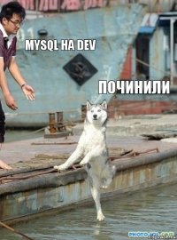 MYSQL на DEV Починили