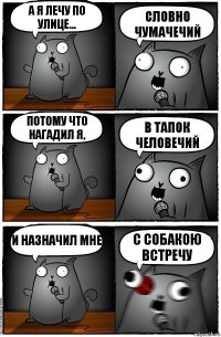 А я лечу по улице... Словно чумачечий Потому что нагадил я, В тапок человечий И назначил мне С собакою встречу