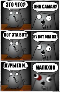 это что? Она самая? вот эта вот! ну вот она же! Шурыга и... малахов