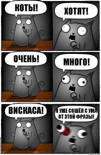 Коты! Хотят! Очень! Много! Вискаса! Я уже сошёл с ума от этой фразы!