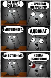 Вот знаете жил-был... ... Арнольд Шварцнегер Был у него кот... Адвокат Так вот ночью, Кошак Обосрался