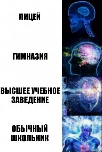 лицей гимназия высшее учебное заведение обычный школьник