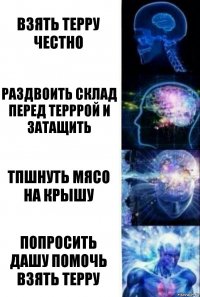 Взять терру честно Раздвоить склад перед терррой и затащить ТПшнуть мясо на крышу Попросить Дашу помочь взять терру