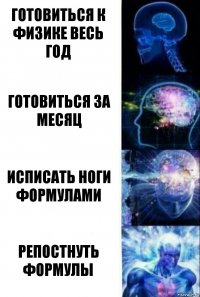 готовиться к физике весь год готовиться за месяц исписать ноги формулами репостнуть формулы