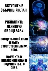 Вступить в обычный клан. развалить ленивую овощебазу. Создать свой клан и быть ответственным за него. Вступить в китайский клан и подчинить его себе.