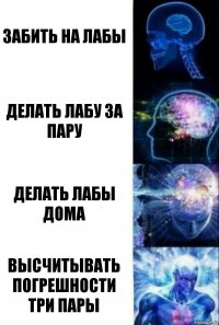 Забить на лабы Делать лабу за пару Делать лабы дома Высчитывать погрешности три пары