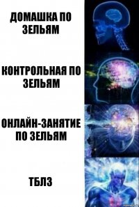 Домашка по зельям Контрольная по зельям Онлайн-занятие по зельям ТБЛЗ