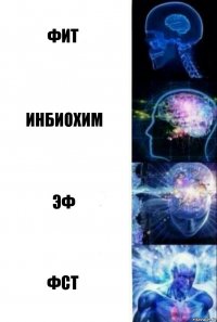 Фит Инбиохим Эф Фст