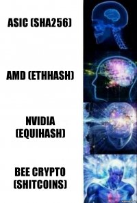 Asic (sha256) amd (ethhash) nvidia (equihash) Bee Crypto (shitcoins)