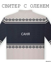 саня