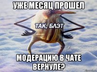 уже месяц прошел модерацию в чате вернуле?