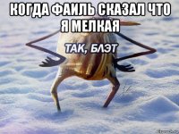 когда фаиль сказал что я мелкая 