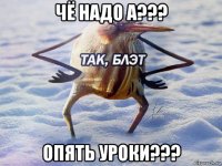 чё надо а??? опять уроки???