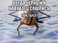 когда чёрный и кавказец сошлись 