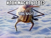 илон маск ты где? 