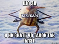 шо за я ни знать чо такои так блэт