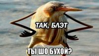  ты шо бухой?