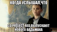 когда услышал,что cd project red,выпускают нового вадьмака