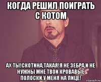 когда решил поиграть с котом ах ты!скотина,такая!я не зебра,и не нужны мне твои кровавые полоски,у меня на лице!