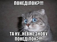 понеділок?!!! та ну...невже знову понеділок?!!!