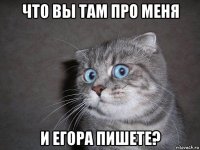 что вы там про меня и егора пишете?