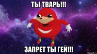 ты тварь!!! запрет ты гей!!!