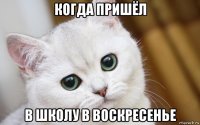 когда пришёл в школу в воскресенье