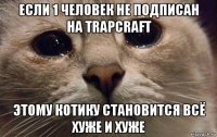 если 1 человек не подписан на trapcraft этому котику становится всё хуже и хуже