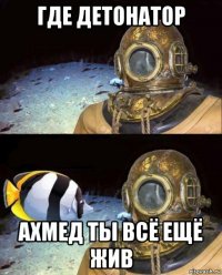 где детонатор ахмед ты всё ещё жив