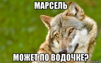 марсель может по водочке?